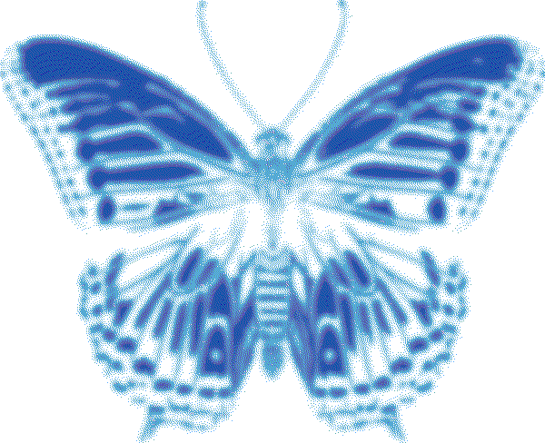 butterfly image